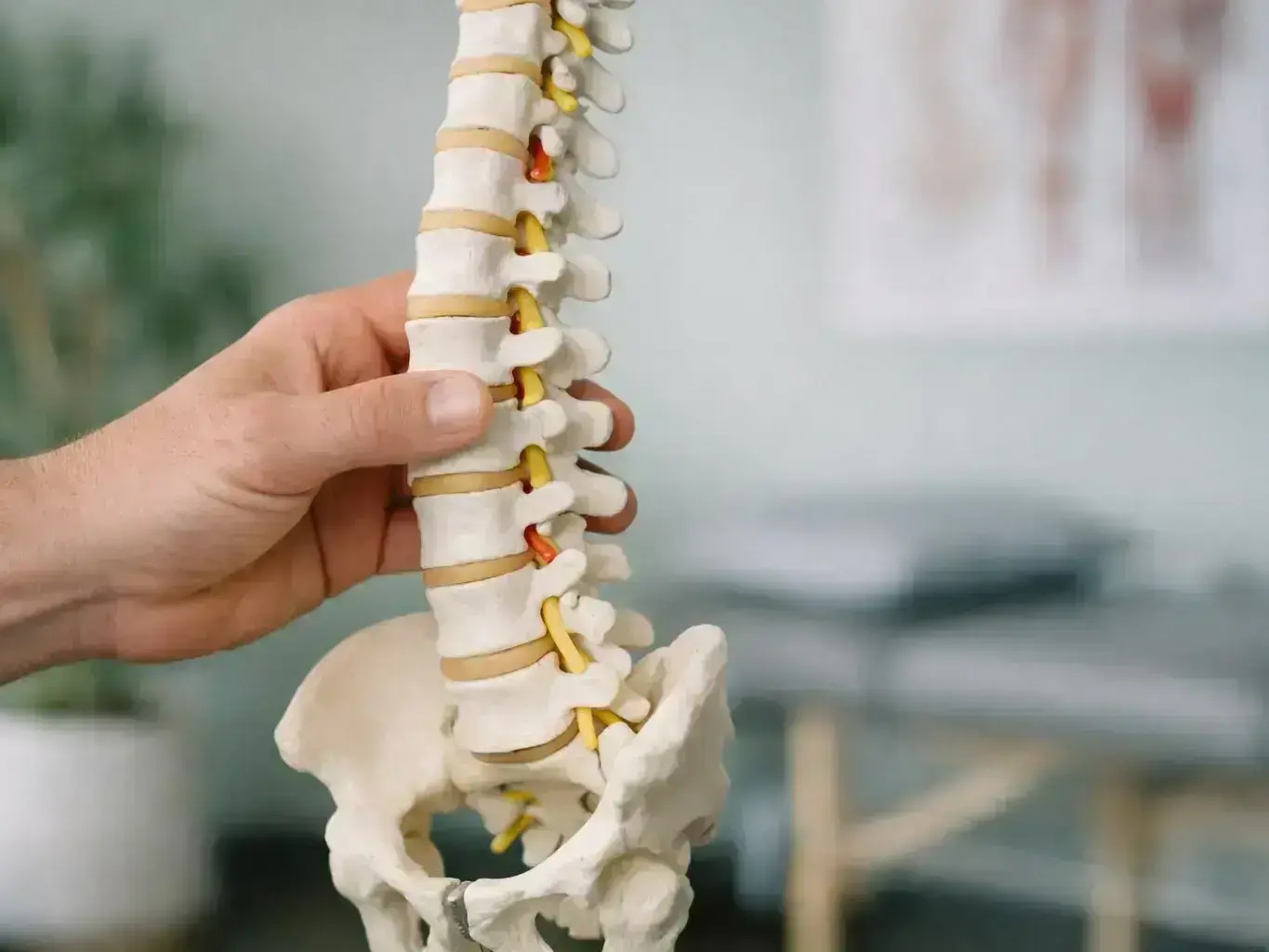 Chiropractor