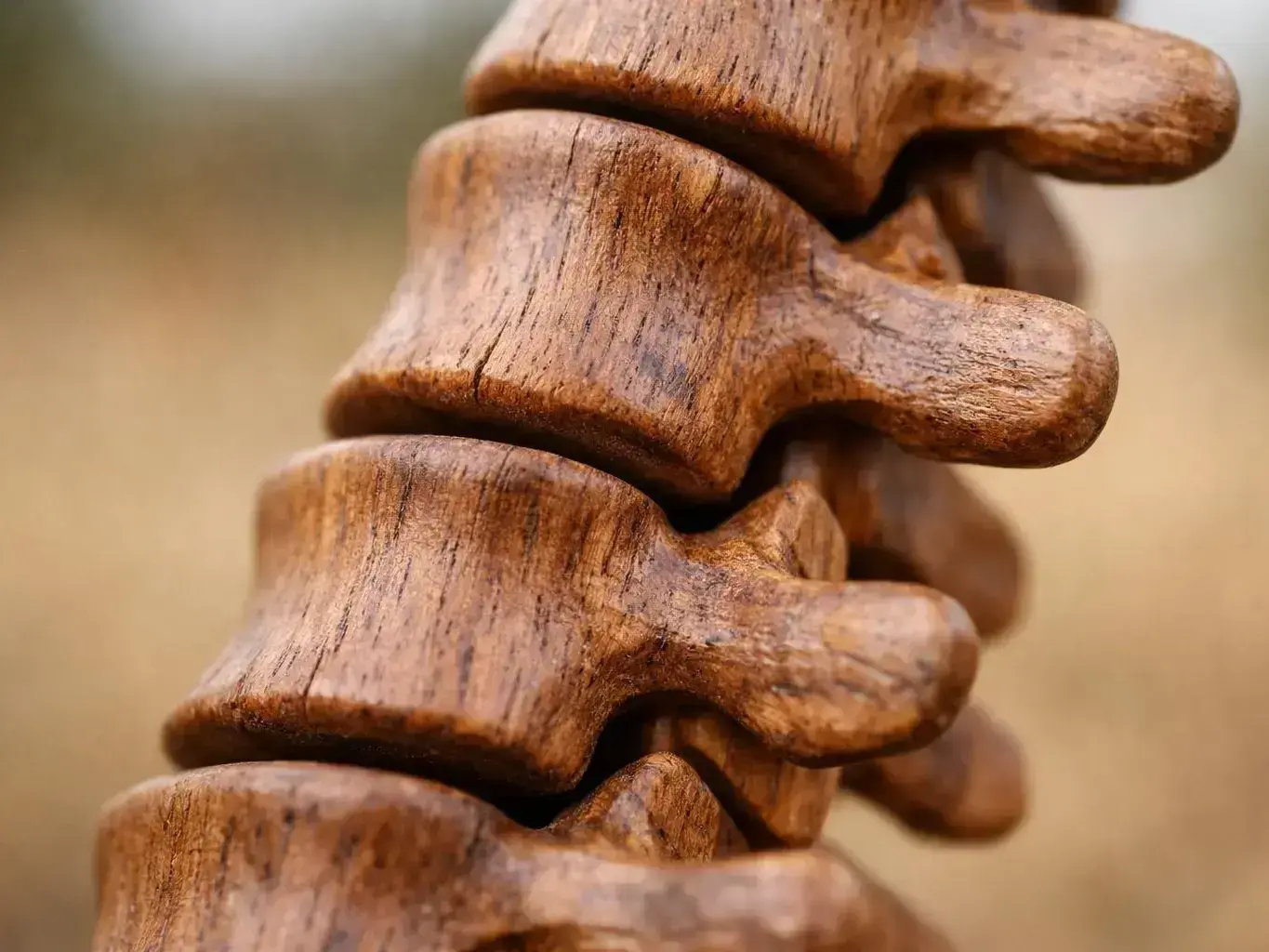 Chiropractor
